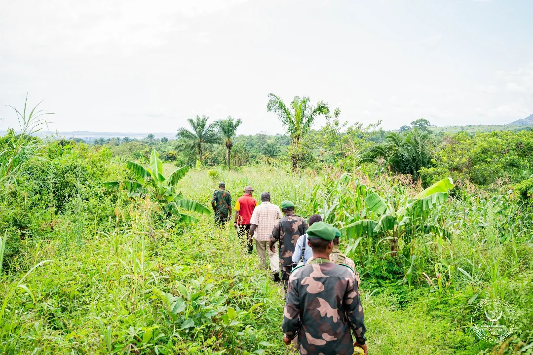 Situation sécuritaire et humanitaire en Ituri et au Nord-Kivu