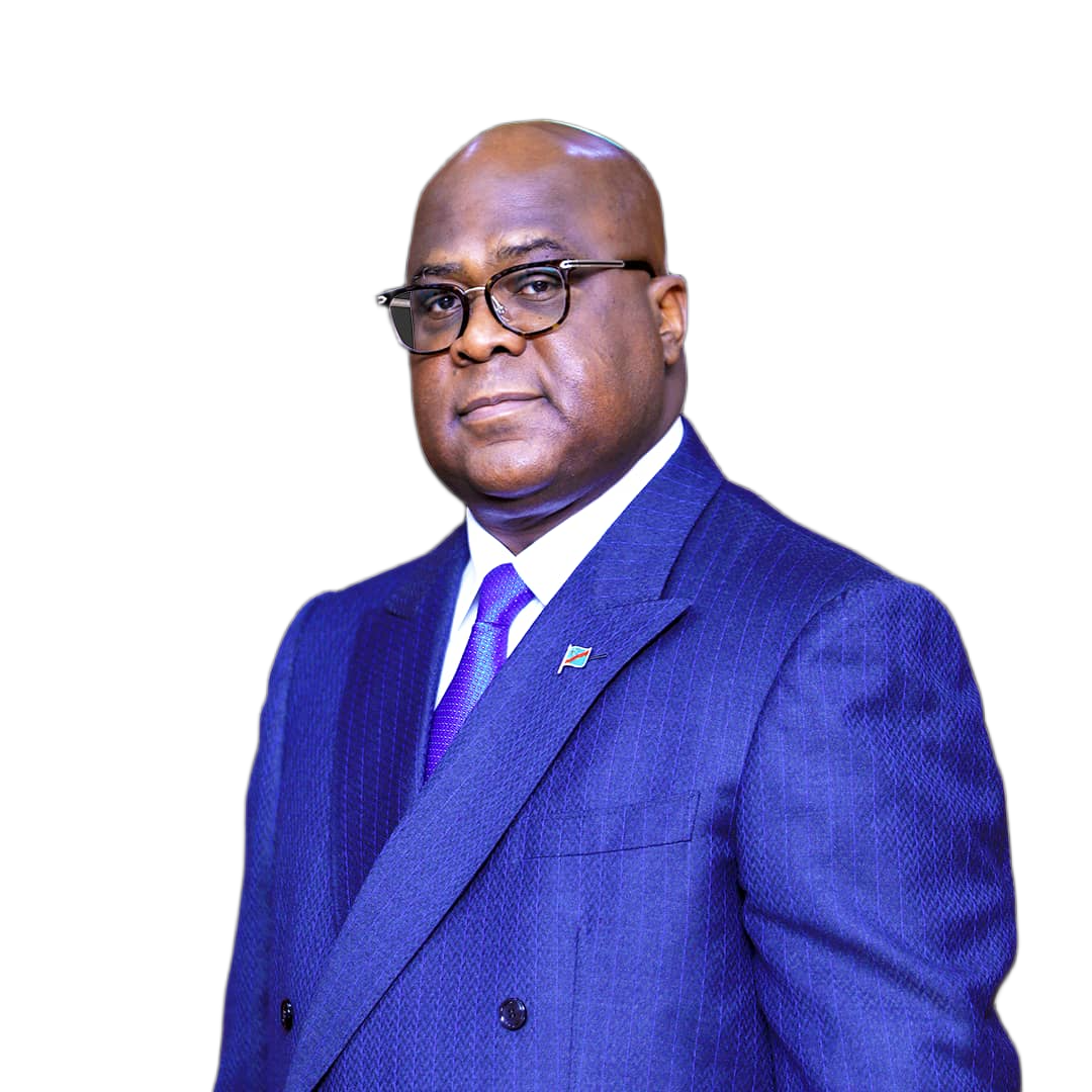 Coordonnateur du CPVS, François Muamba Tshishimbi